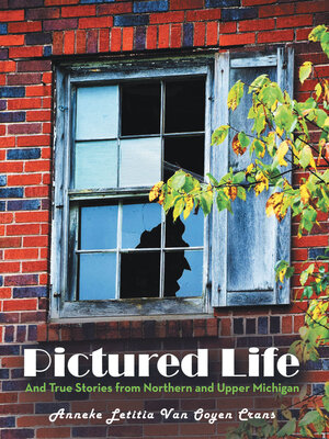 cover image of Pictured Life